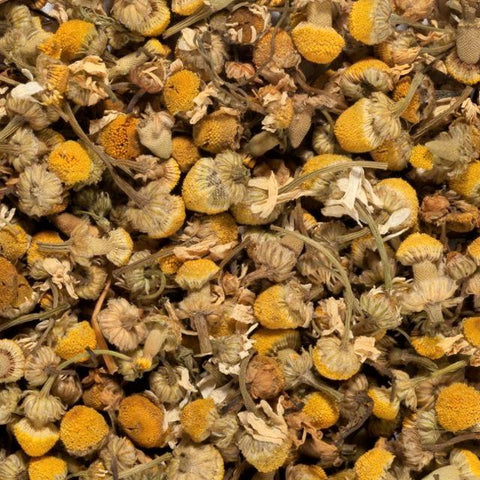 EGYPTIAN CHAMOMILE | Herbal Tisanes 