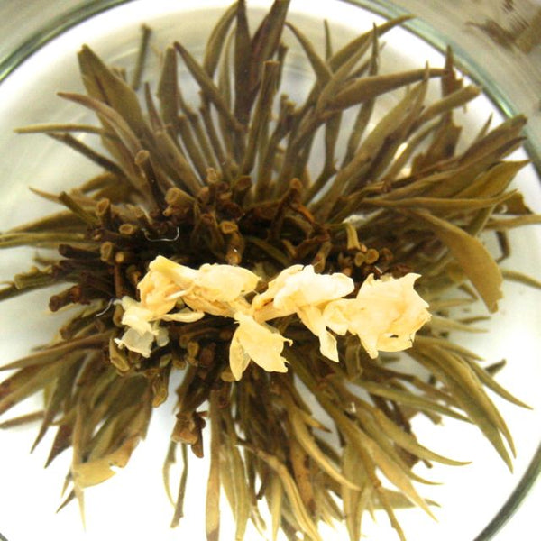 JASMINE | Blooming Tea | Loose Leaf Green Tea