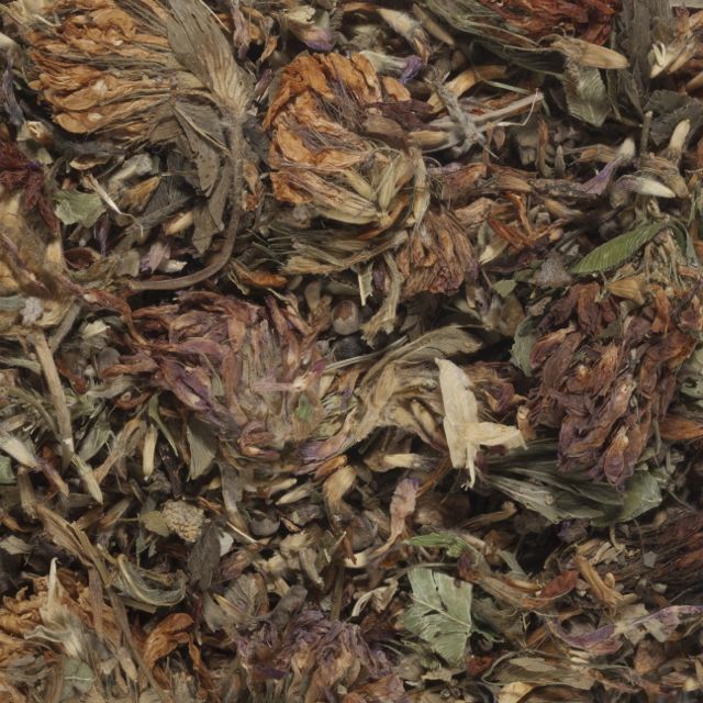 RED CLOVER | Herbal Tisanes